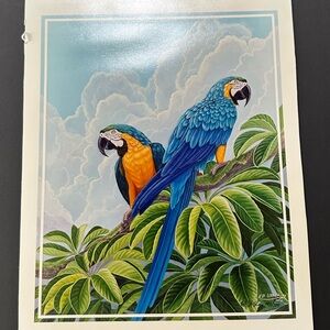 Ed Usher MacCaw Print